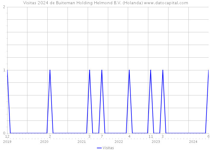 Visitas 2024 de Buiteman Holding Helmond B.V. (Holanda) 