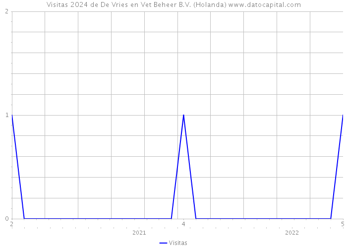 Visitas 2024 de De Vries en Vet Beheer B.V. (Holanda) 