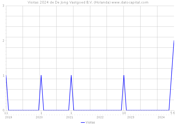 Visitas 2024 de De Jong Vastgoed B.V. (Holanda) 