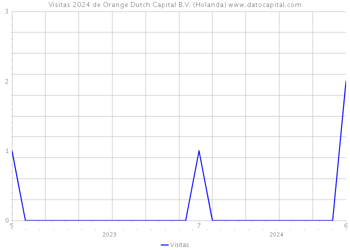 Visitas 2024 de Orange Dutch Capital B.V. (Holanda) 