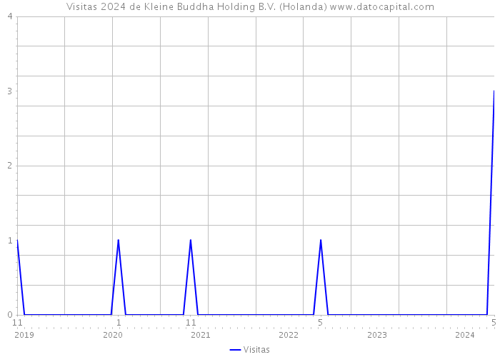 Visitas 2024 de Kleine Buddha Holding B.V. (Holanda) 