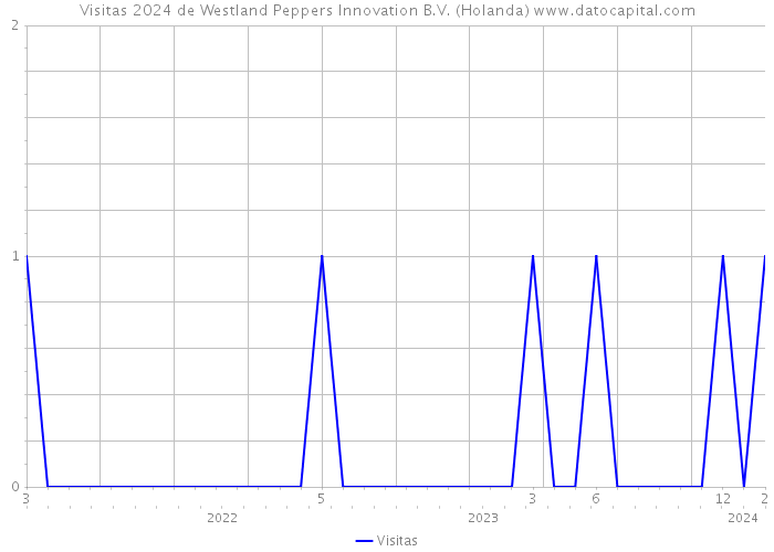 Visitas 2024 de Westland Peppers Innovation B.V. (Holanda) 
