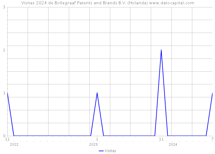 Visitas 2024 de Bollegraaf Patents and Brands B.V. (Holanda) 