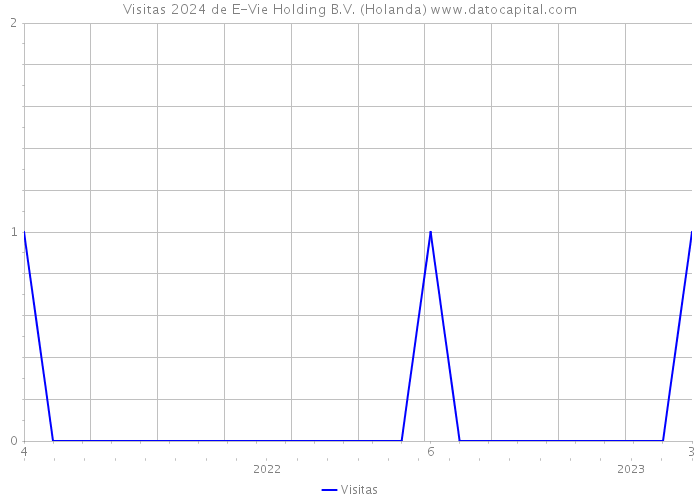 Visitas 2024 de E-Vie Holding B.V. (Holanda) 