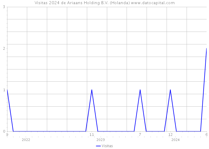 Visitas 2024 de Ariaans Holding B.V. (Holanda) 