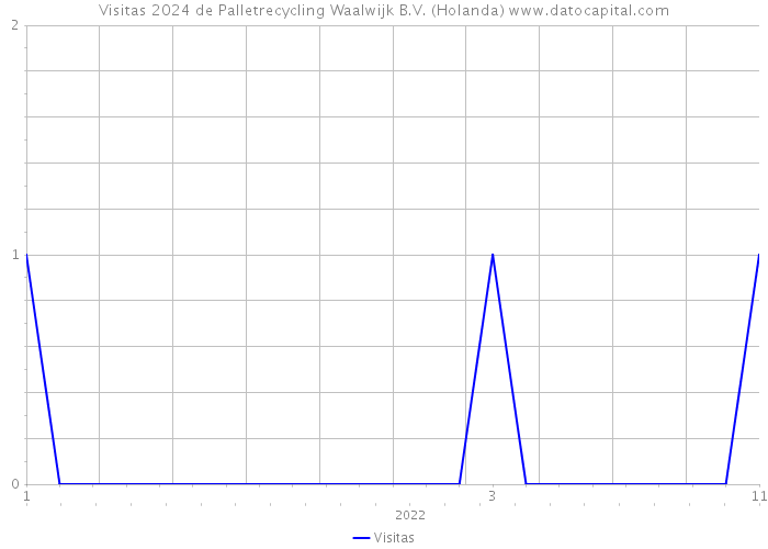 Visitas 2024 de Palletrecycling Waalwijk B.V. (Holanda) 