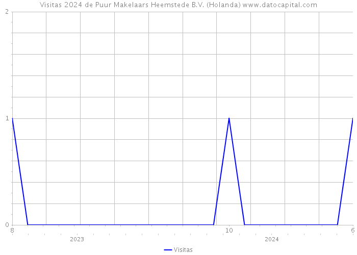 Visitas 2024 de Puur Makelaars Heemstede B.V. (Holanda) 