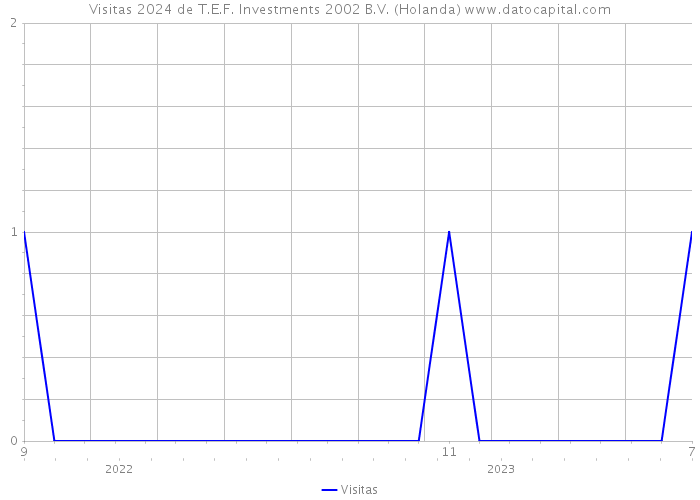 Visitas 2024 de T.E.F. Investments 2002 B.V. (Holanda) 