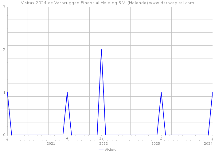 Visitas 2024 de Verbruggen Financial Holding B.V. (Holanda) 