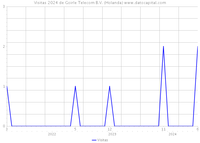 Visitas 2024 de Goirle Telecom B.V. (Holanda) 