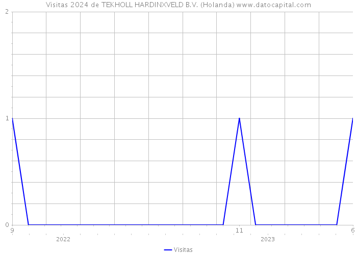 Visitas 2024 de TEKHOLL HARDINXVELD B.V. (Holanda) 