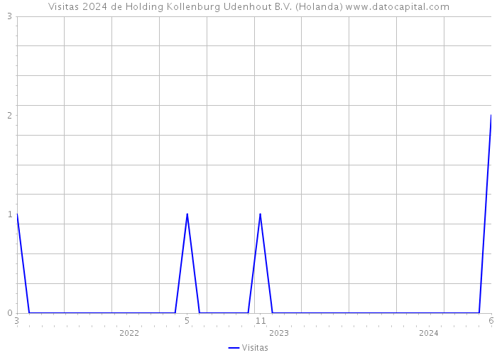 Visitas 2024 de Holding Kollenburg Udenhout B.V. (Holanda) 