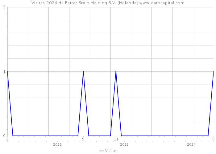 Visitas 2024 de Better Brain Holding B.V. (Holanda) 