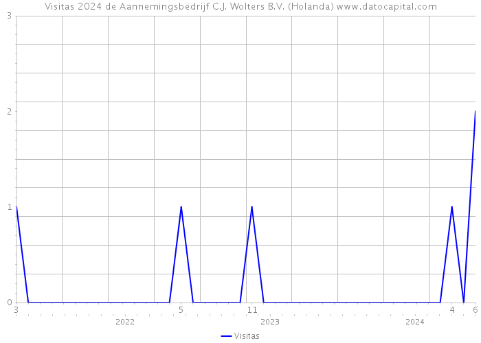 Visitas 2024 de Aannemingsbedrijf C.J. Wolters B.V. (Holanda) 