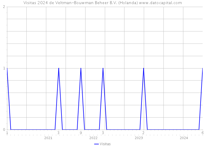 Visitas 2024 de Veltman-Bouwman Beheer B.V. (Holanda) 