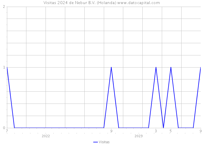 Visitas 2024 de Nebur B.V. (Holanda) 