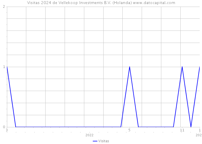 Visitas 2024 de Vellekoop Investments B.V. (Holanda) 