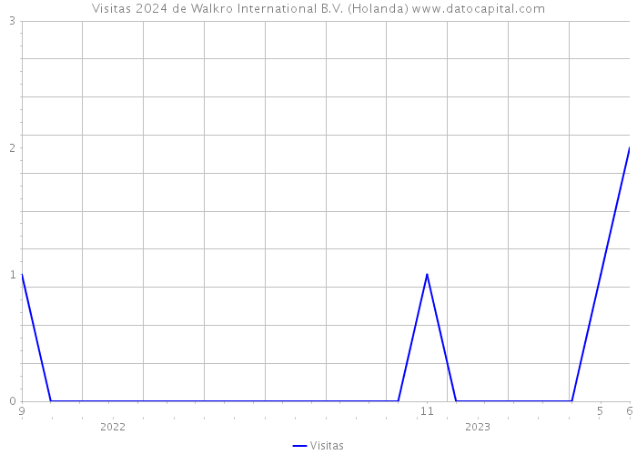 Visitas 2024 de Walkro International B.V. (Holanda) 