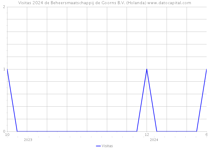 Visitas 2024 de Beheersmaatschappij de Goorns B.V. (Holanda) 