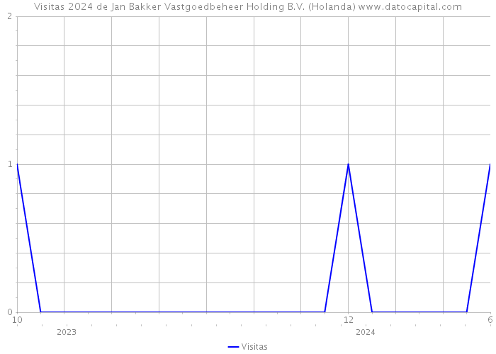 Visitas 2024 de Jan Bakker Vastgoedbeheer Holding B.V. (Holanda) 