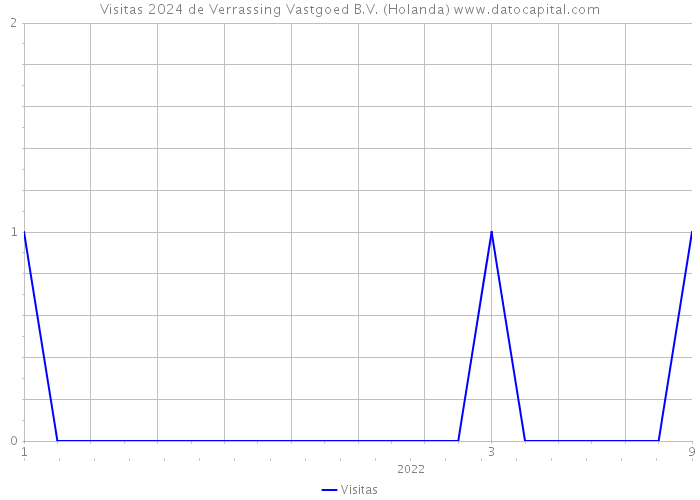 Visitas 2024 de Verrassing Vastgoed B.V. (Holanda) 