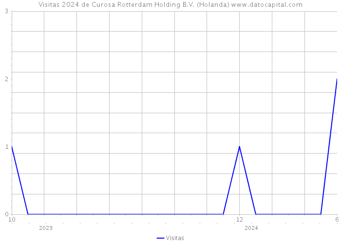 Visitas 2024 de Curosa Rotterdam Holding B.V. (Holanda) 