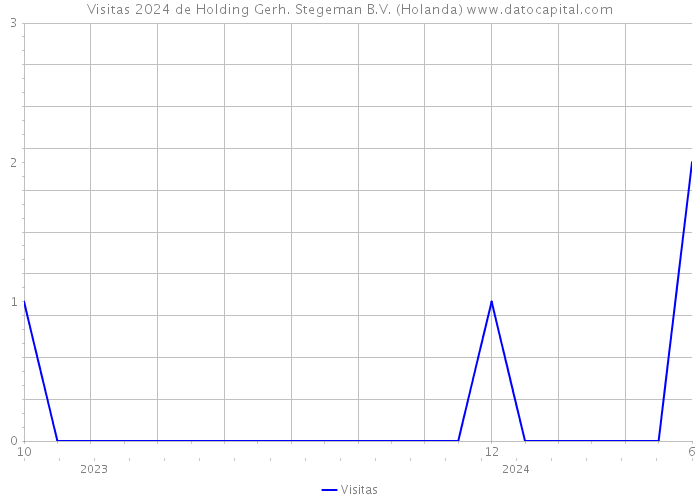 Visitas 2024 de Holding Gerh. Stegeman B.V. (Holanda) 