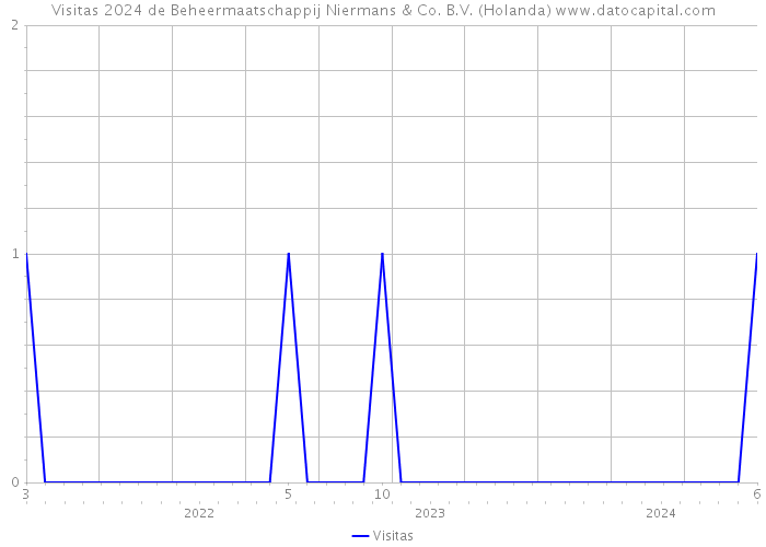 Visitas 2024 de Beheermaatschappij Niermans & Co. B.V. (Holanda) 