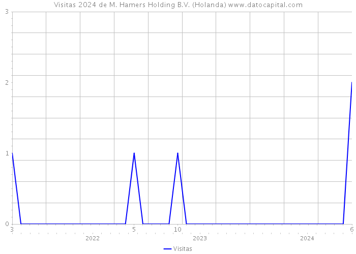 Visitas 2024 de M. Hamers Holding B.V. (Holanda) 