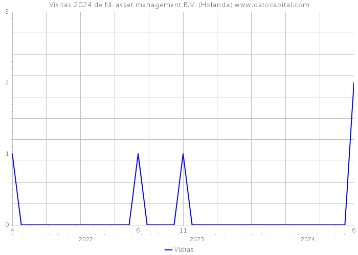 Visitas 2024 de NL asset management B.V. (Holanda) 