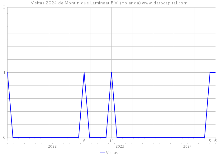 Visitas 2024 de Montinique Laminaat B.V. (Holanda) 