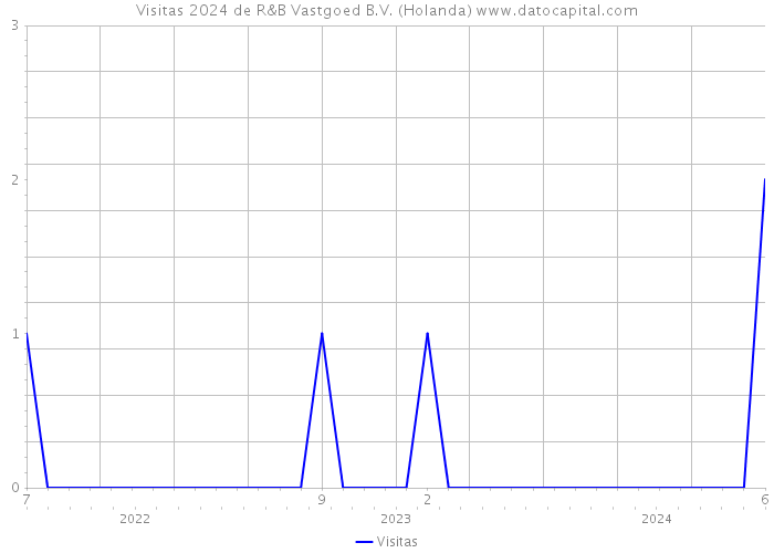 Visitas 2024 de R&B Vastgoed B.V. (Holanda) 