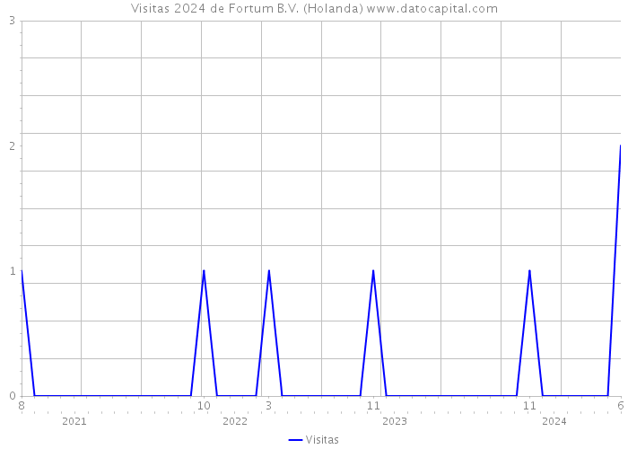 Visitas 2024 de Fortum B.V. (Holanda) 