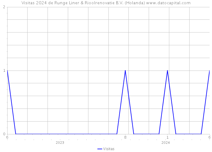 Visitas 2024 de Runge Liner & Rioolrenovatie B.V. (Holanda) 