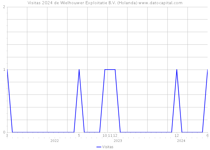 Visitas 2024 de Wielhouwer Exploitatie B.V. (Holanda) 