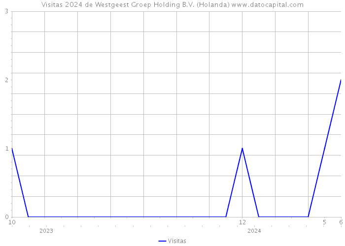 Visitas 2024 de Westgeest Groep Holding B.V. (Holanda) 