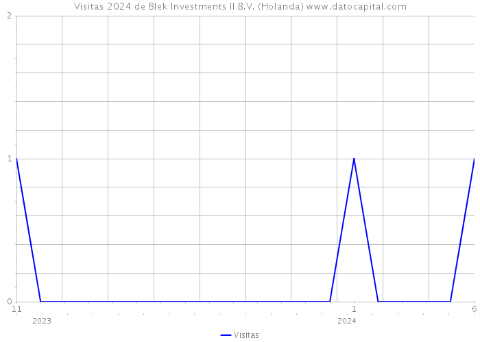 Visitas 2024 de Blek Investments II B.V. (Holanda) 