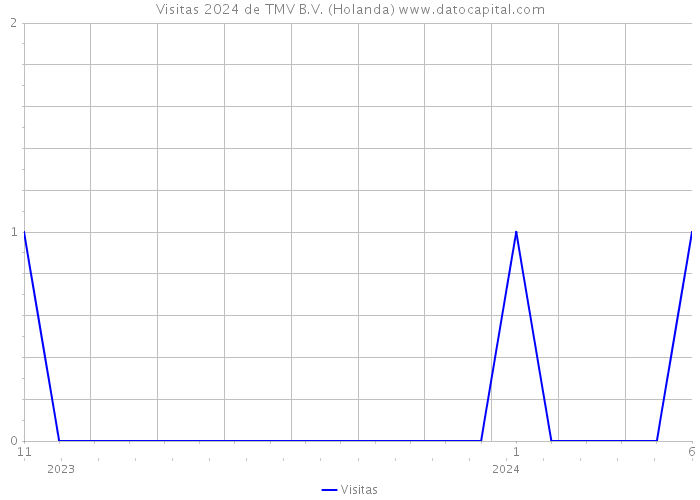 Visitas 2024 de TMV B.V. (Holanda) 