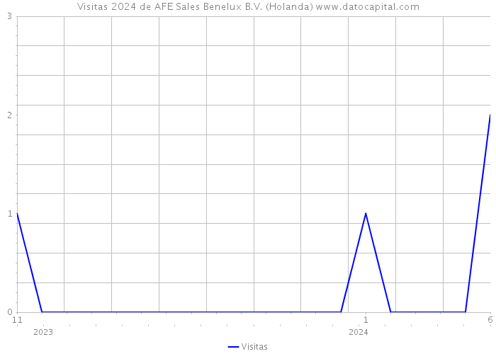 Visitas 2024 de AFE Sales Benelux B.V. (Holanda) 