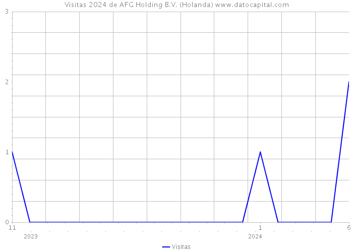 Visitas 2024 de AFG Holding B.V. (Holanda) 