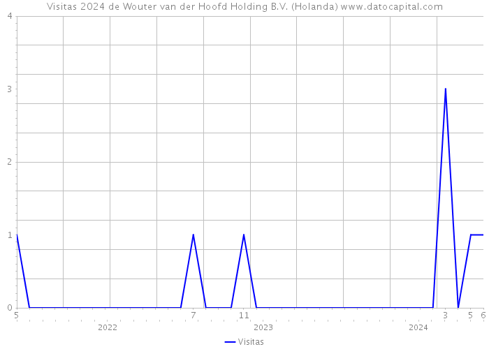 Visitas 2024 de Wouter van der Hoofd Holding B.V. (Holanda) 