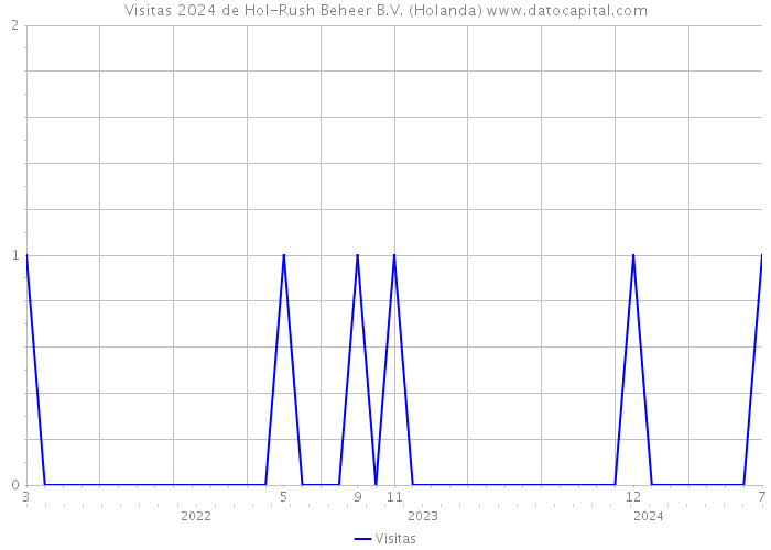 Visitas 2024 de Hol-Rush Beheer B.V. (Holanda) 