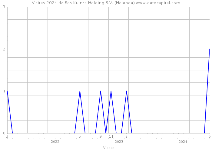 Visitas 2024 de Bos Kuinre Holding B.V. (Holanda) 