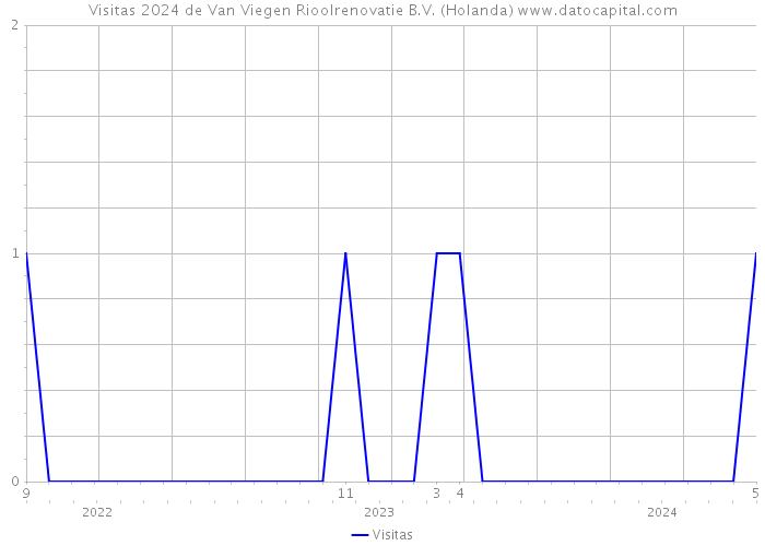 Visitas 2024 de Van Viegen Rioolrenovatie B.V. (Holanda) 
