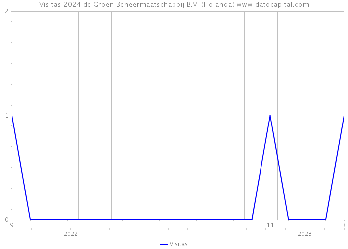 Visitas 2024 de Groen Beheermaatschappij B.V. (Holanda) 