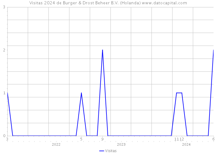 Visitas 2024 de Burger & Drost Beheer B.V. (Holanda) 