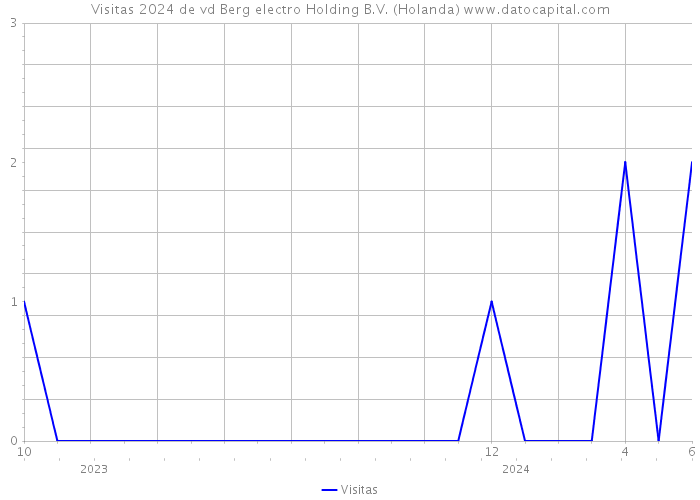 Visitas 2024 de vd Berg electro Holding B.V. (Holanda) 