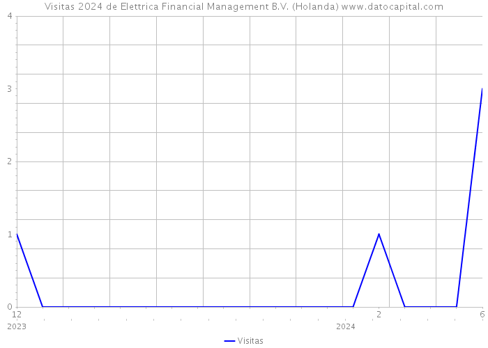Visitas 2024 de Elettrica Financial Management B.V. (Holanda) 