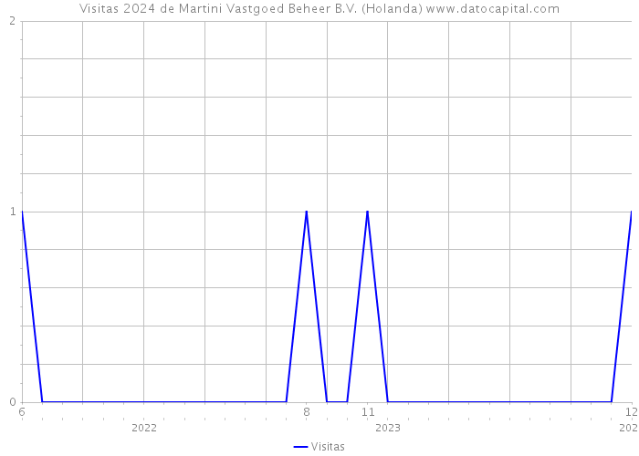 Visitas 2024 de Martini Vastgoed Beheer B.V. (Holanda) 