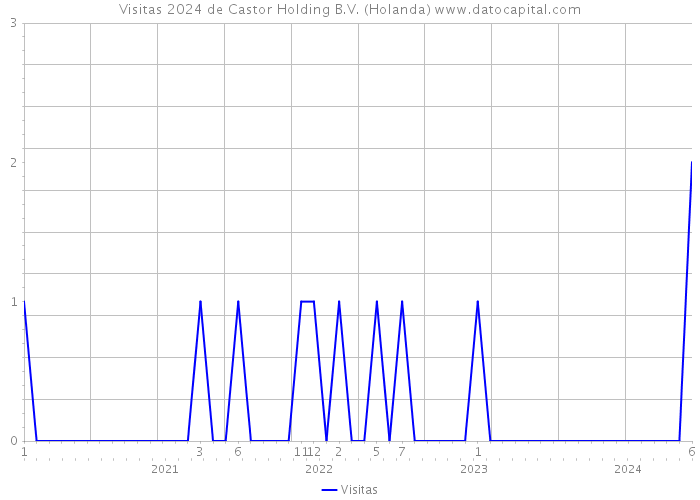 Visitas 2024 de Castor Holding B.V. (Holanda) 